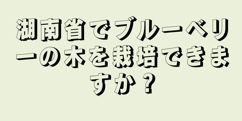 湖南省でブルーベリーの木を栽培できますか？