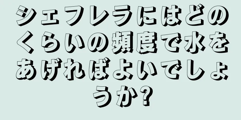 シェフレラにはどのくらいの頻度で水をあげればよいでしょうか?