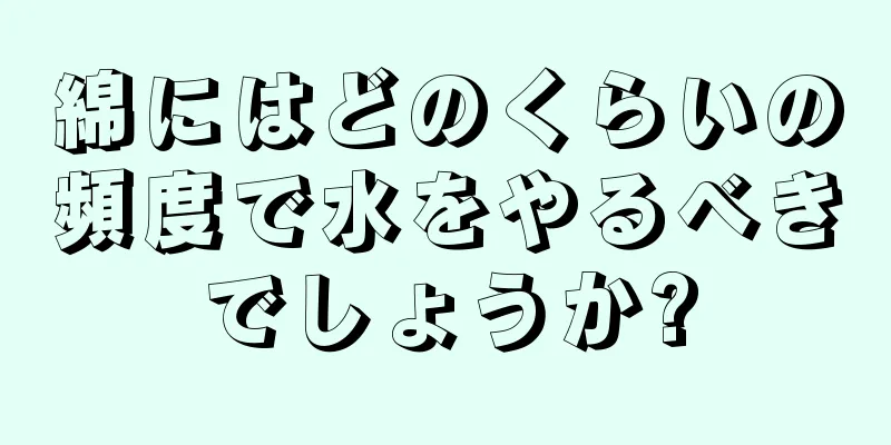 綿にはどのくらいの頻度で水をやるべきでしょうか?
