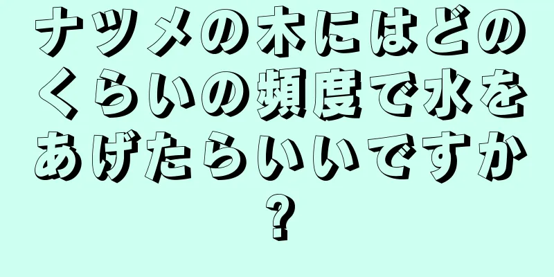 ナツメの木にはどのくらいの頻度で水をあげたらいいですか?