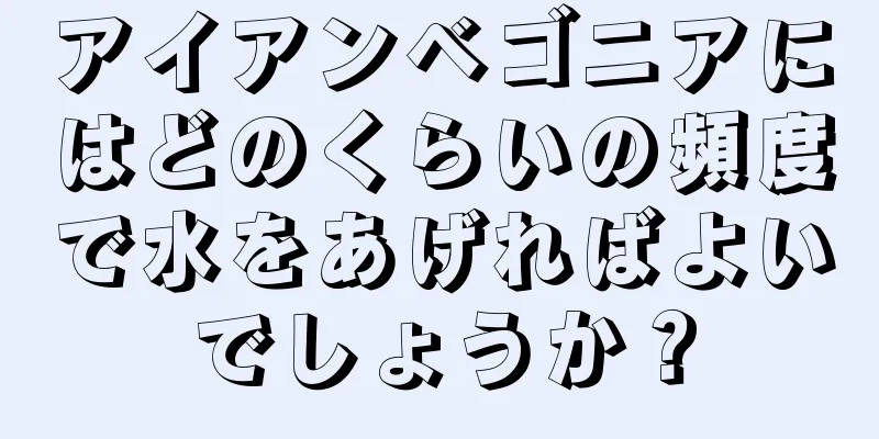 アイアンベゴニアにはどのくらいの頻度で水をあげればよいでしょうか？