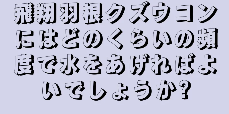 飛翔羽根クズウコンにはどのくらいの頻度で水をあげればよいでしょうか?
