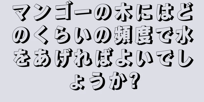 マンゴーの木にはどのくらいの頻度で水をあげればよいでしょうか?