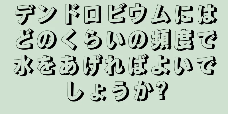 デンドロビウムにはどのくらいの頻度で水をあげればよいでしょうか?