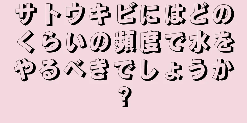 サトウキビにはどのくらいの頻度で水をやるべきでしょうか?