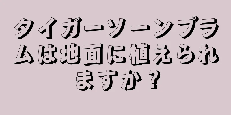 タイガーソーンプラムは地面に植えられますか？