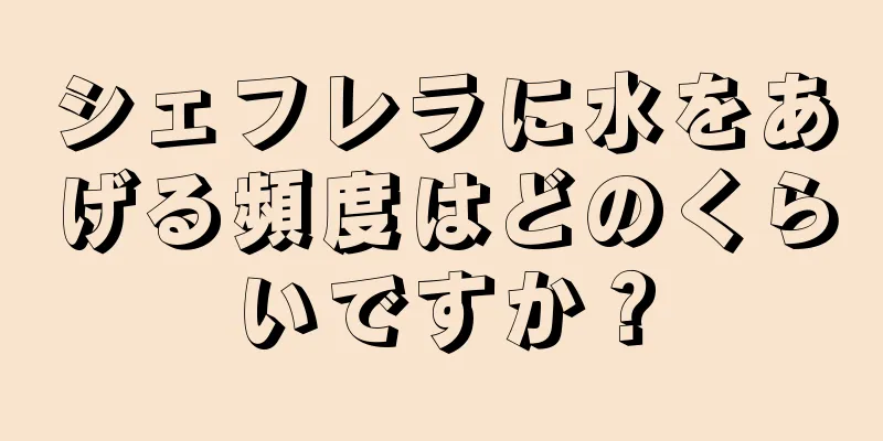 シェフレラに水をあげる頻度はどのくらいですか？