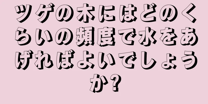ツゲの木にはどのくらいの頻度で水をあげればよいでしょうか?