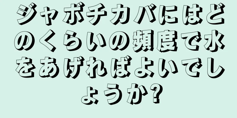 ジャボチカバにはどのくらいの頻度で水をあげればよいでしょうか?