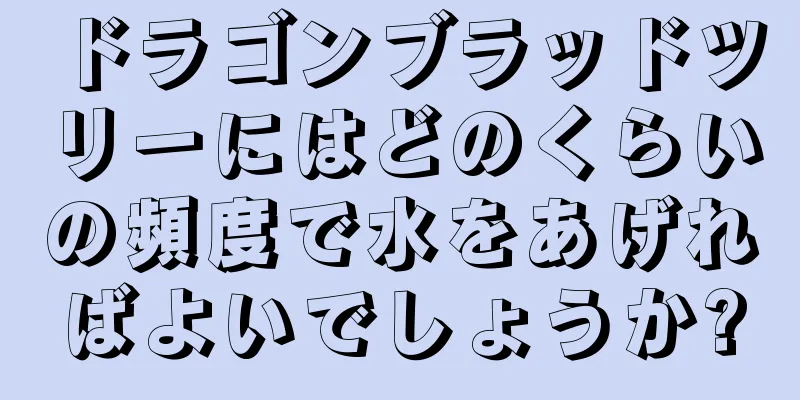 ドラゴンブラッドツリーにはどのくらいの頻度で水をあげればよいでしょうか?