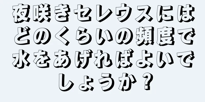 夜咲きセレウスにはどのくらいの頻度で水をあげればよいでしょうか？