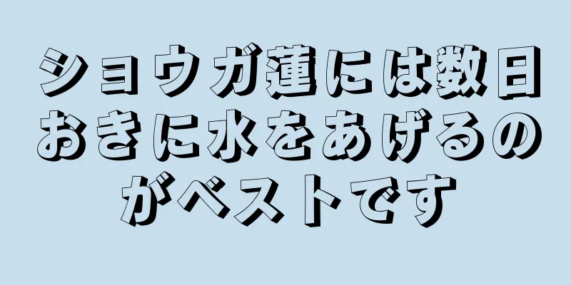 ショウガ蓮には数日おきに水をあげるのがベストです