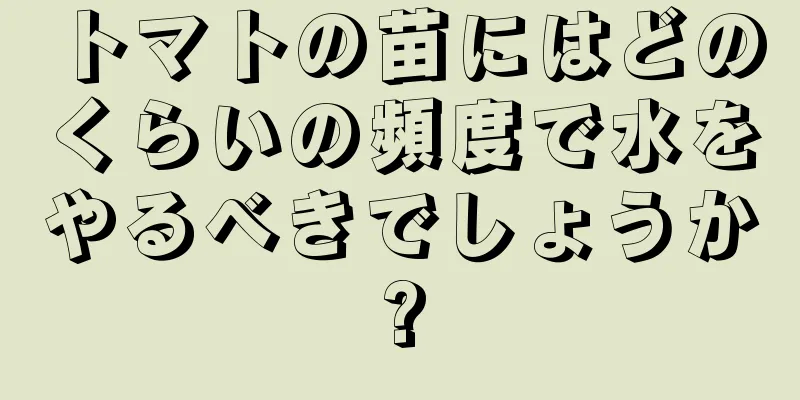 トマトの苗にはどのくらいの頻度で水をやるべきでしょうか?