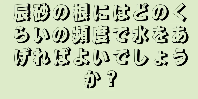 辰砂の根にはどのくらいの頻度で水をあげればよいでしょうか？