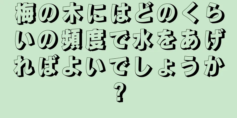 梅の木にはどのくらいの頻度で水をあげればよいでしょうか?