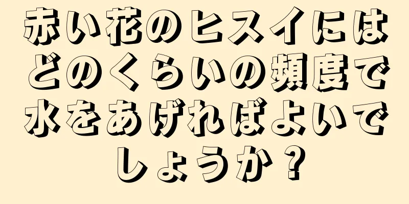 赤い花のヒスイにはどのくらいの頻度で水をあげればよいでしょうか？