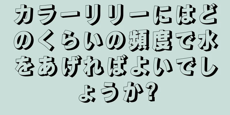 カラーリリーにはどのくらいの頻度で水をあげればよいでしょうか?