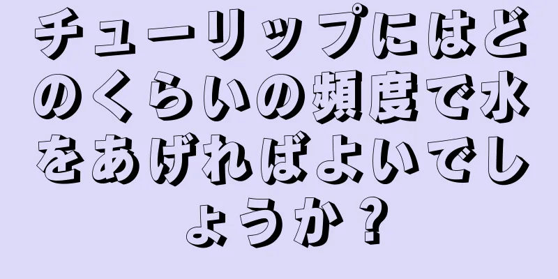チューリップにはどのくらいの頻度で水をあげればよいでしょうか？