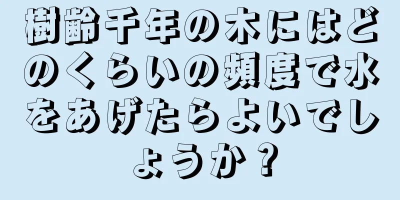 樹齢千年の木にはどのくらいの頻度で水をあげたらよいでしょうか？