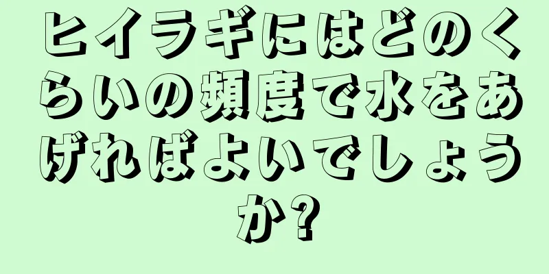 ヒイラギにはどのくらいの頻度で水をあげればよいでしょうか?