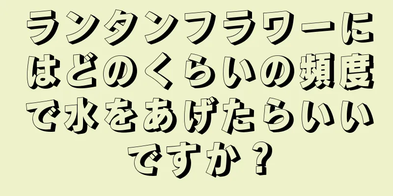 ランタンフラワーにはどのくらいの頻度で水をあげたらいいですか？
