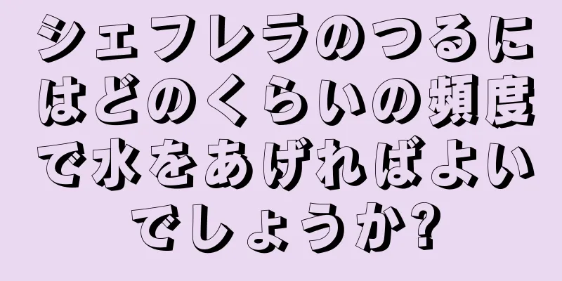 シェフレラのつるにはどのくらいの頻度で水をあげればよいでしょうか?