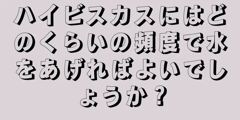 ハイビスカスにはどのくらいの頻度で水をあげればよいでしょうか？