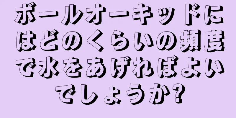 ボールオーキッドにはどのくらいの頻度で水をあげればよいでしょうか?