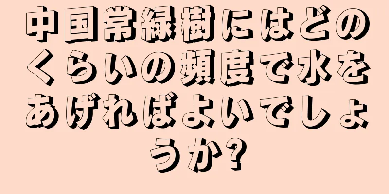 中国常緑樹にはどのくらいの頻度で水をあげればよいでしょうか?