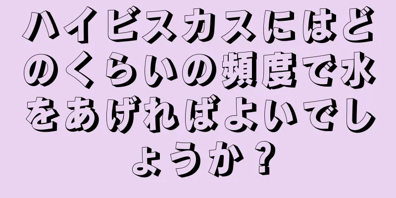 ハイビスカスにはどのくらいの頻度で水をあげればよいでしょうか？