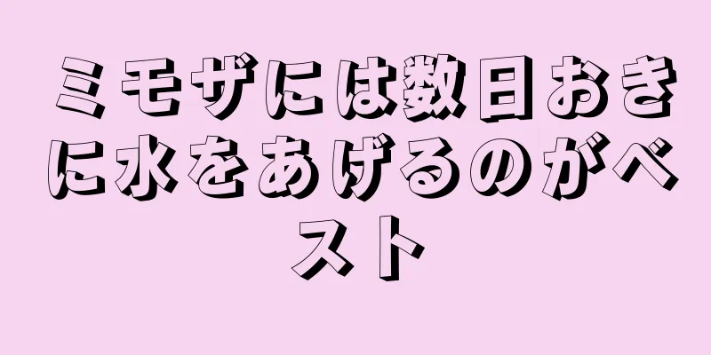 ミモザには数日おきに水をあげるのがベスト