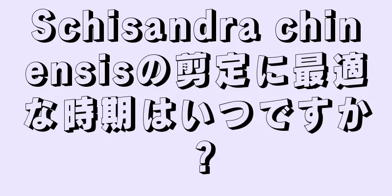 Schisandra chinensisの剪定に最適な時期はいつですか？