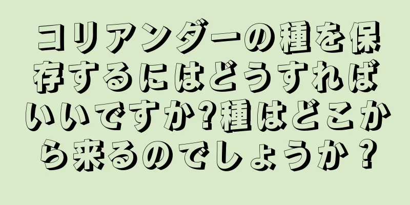 コリアンダーの種を保存するにはどうすればいいですか?種はどこから来るのでしょうか？