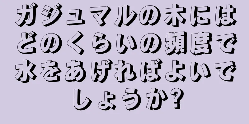 ガジュマルの木にはどのくらいの頻度で水をあげればよいでしょうか?