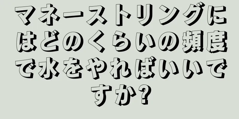マネーストリングにはどのくらいの頻度で水をやればいいですか?