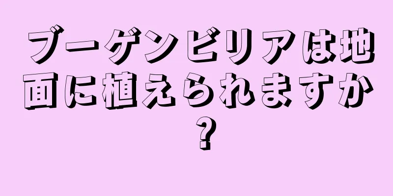 ブーゲンビリアは地面に植えられますか？