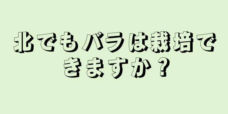 北でもバラは栽培できますか？