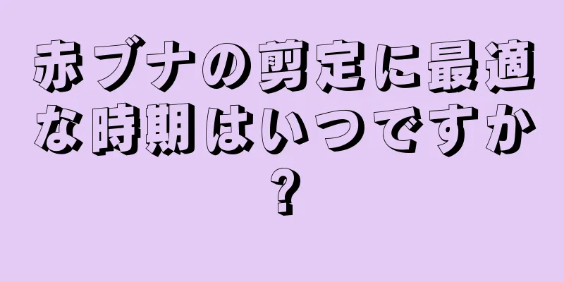 赤ブナの剪定に最適な時期はいつですか?