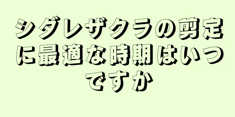 シダレザクラの剪定に最適な時期はいつですか