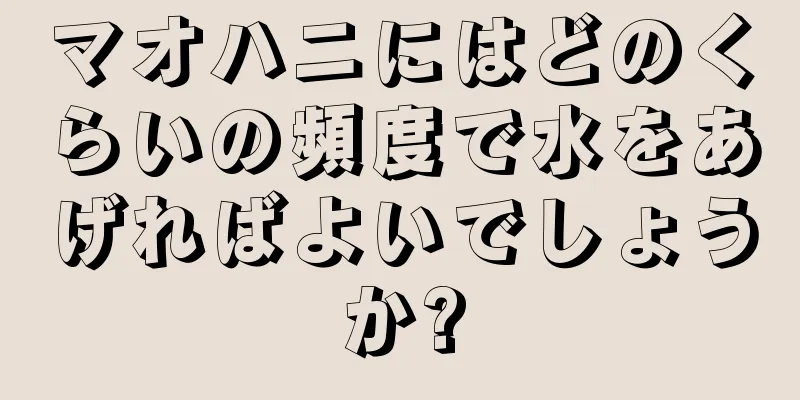 マオハニにはどのくらいの頻度で水をあげればよいでしょうか?