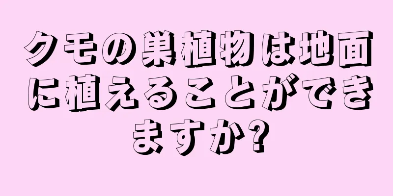 クモの巣植物は地面に植えることができますか?