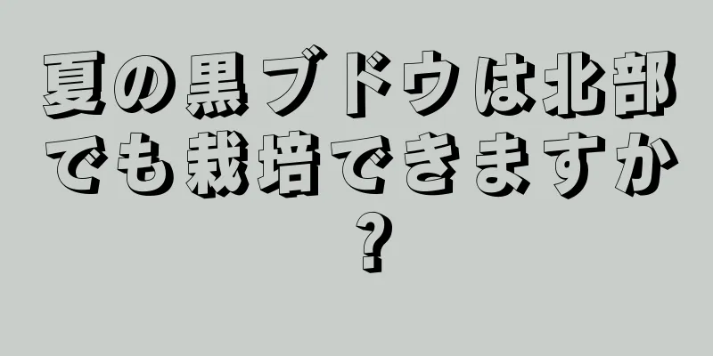夏の黒ブドウは北部でも栽培できますか？