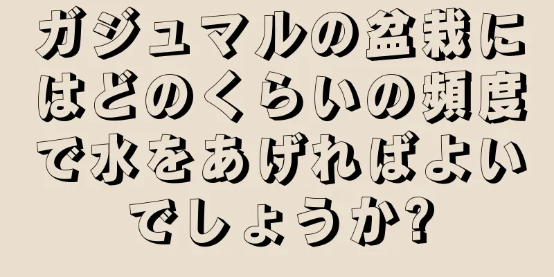 ガジュマルの盆栽にはどのくらいの頻度で水をあげればよいでしょうか?