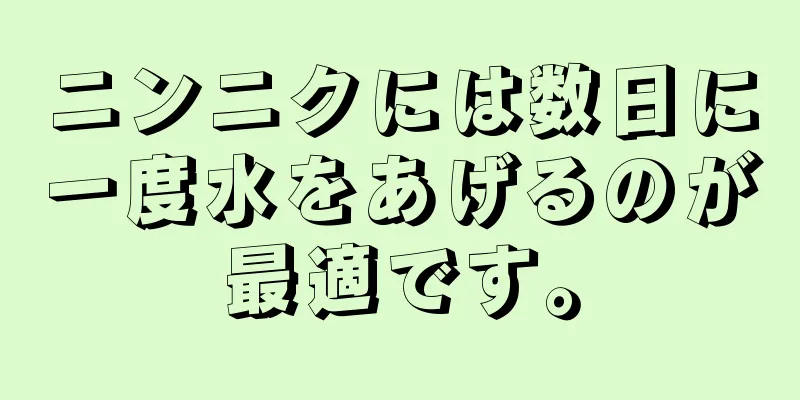 ニンニクには数日に一度水をあげるのが最適です。