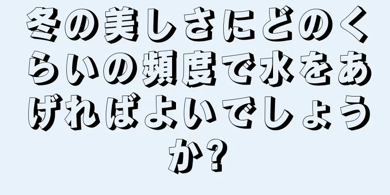冬の美しさにどのくらいの頻度で水をあげればよいでしょうか?