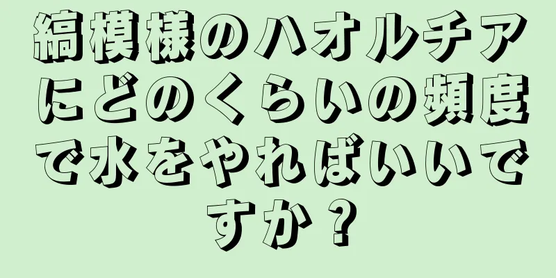 縞模様のハオルチアにどのくらいの頻度で水をやればいいですか？