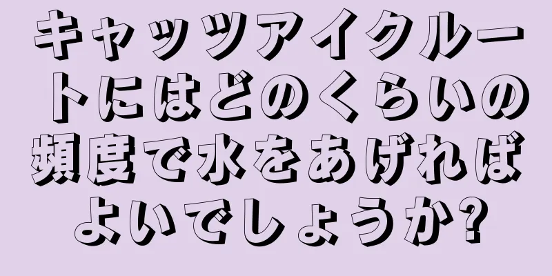 キャッツアイクルートにはどのくらいの頻度で水をあげればよいでしょうか?