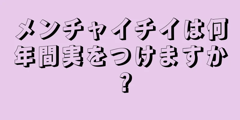 メンチャイチイは何年間実をつけますか？