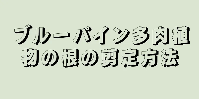 ブルーパイン多肉植物の根の剪定方法
