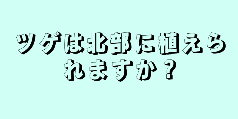 ツゲは北部に植えられますか？